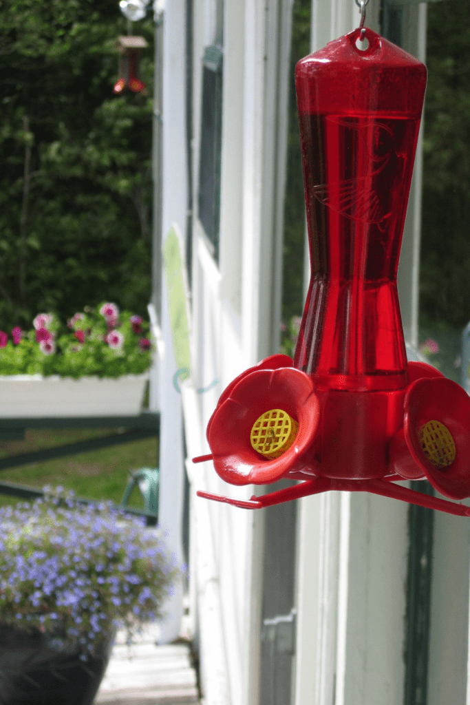 Image illustrates a hummingbird feeder for the best hummingbird feeders with bee guards. 