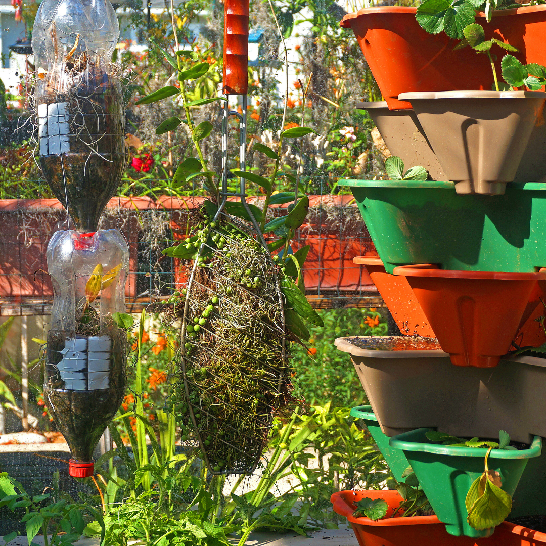 Image illustrates vertical gardening plants for small spaces.
