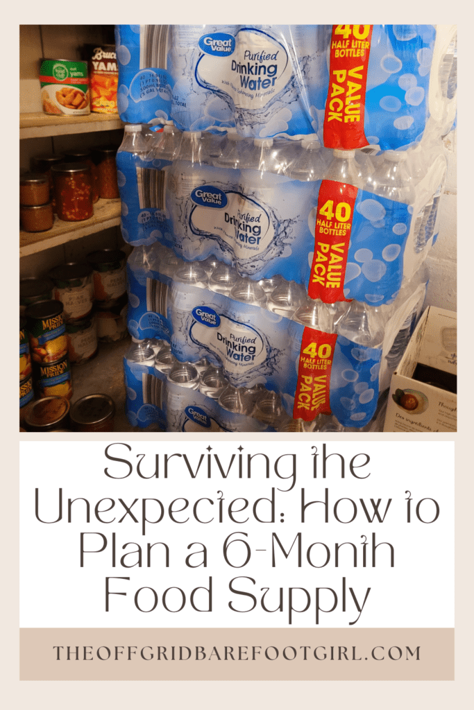 Image illustrates a Pinterest pin of a pantry with a 6-month food supply. 