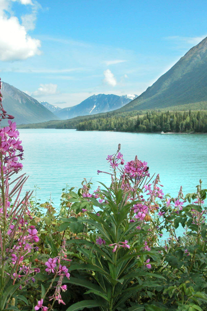 Image illustrates the best states for off grid living. 