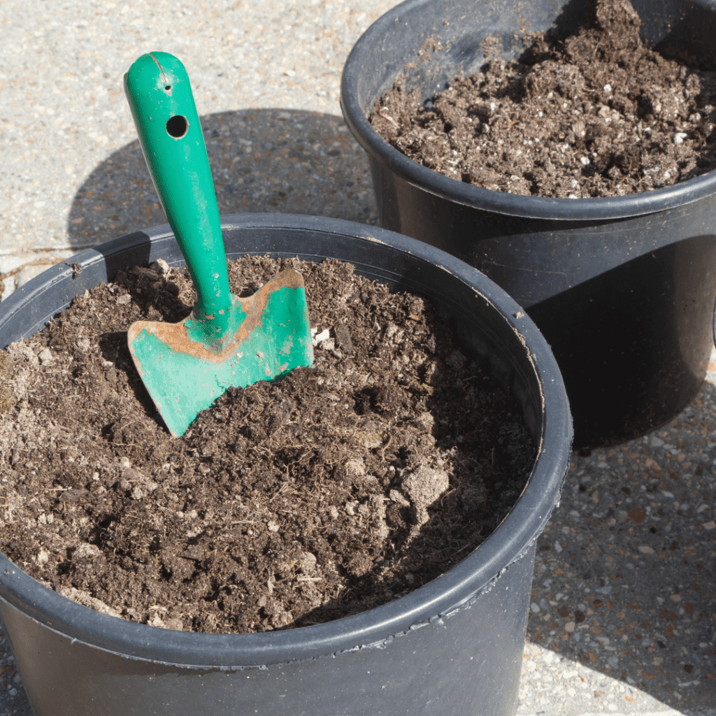 Image illustrates organic gardening soil.