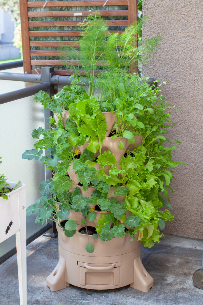 Image illustrates vertical gardening plants for small spaces. 