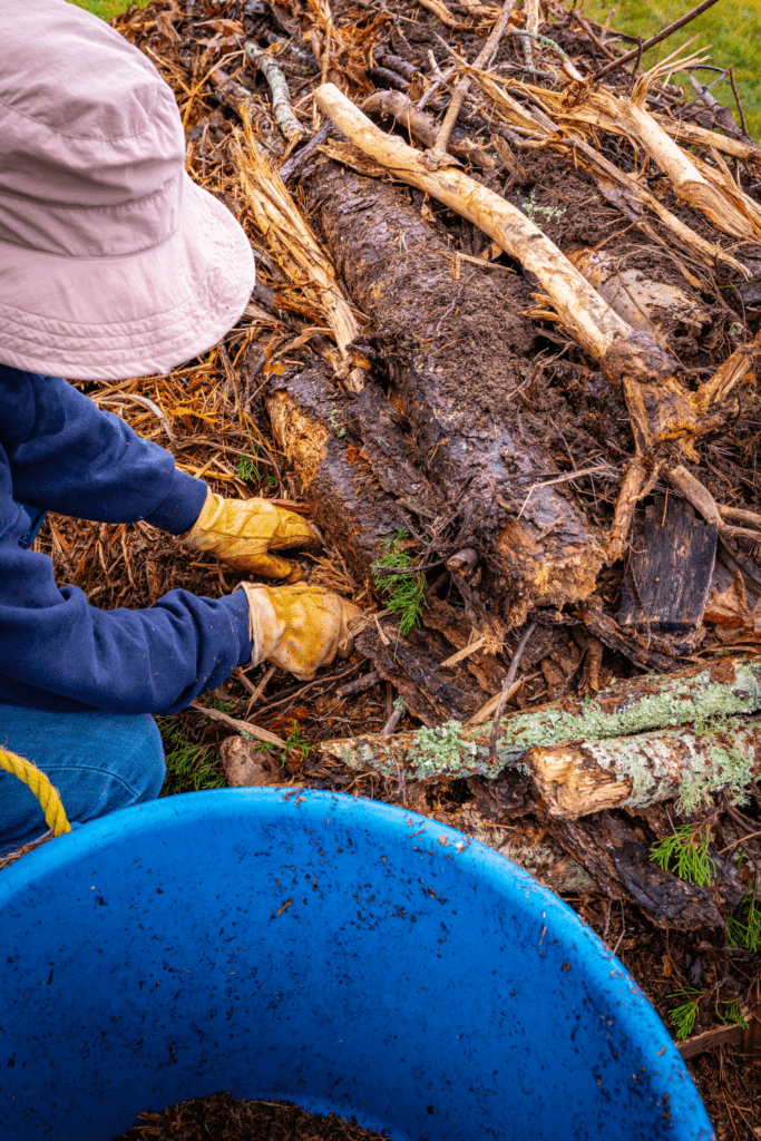 Image illustrates a hugelkultur garden. 