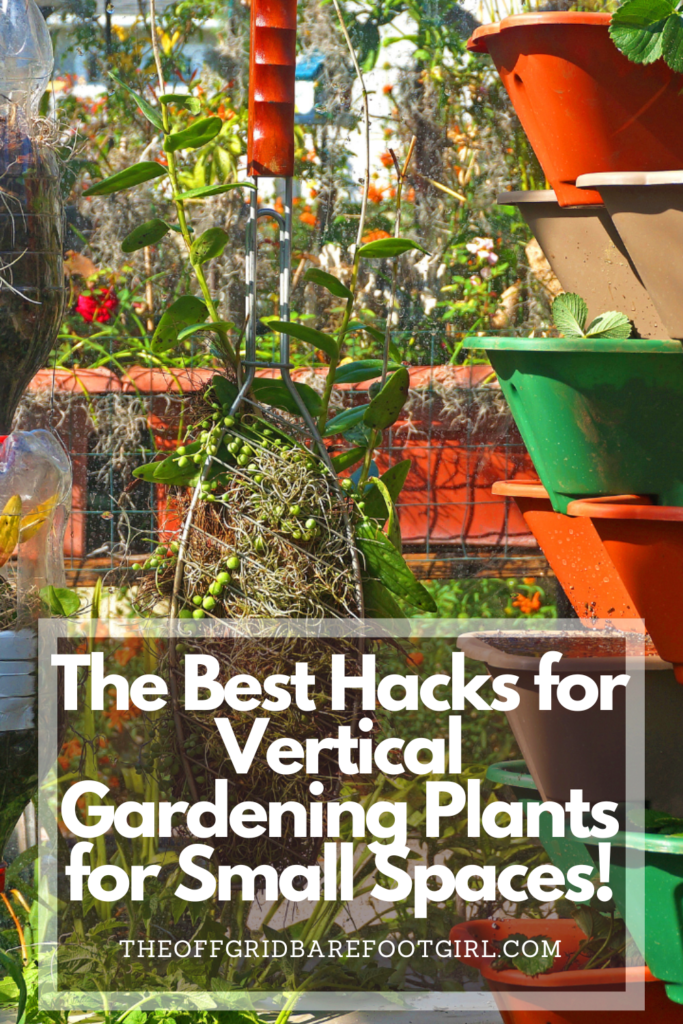 Image illustrates a Pinterest pin of vertical gardening plants for small spaces. 