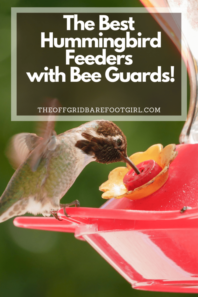 Image illustrates a Pinterest pin of the best hummingbird feeders with bee guards.
