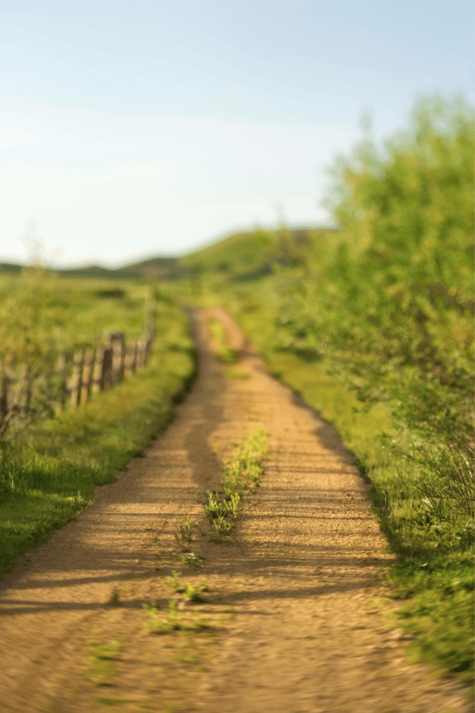 Image illustrates the best states for off grid living. 