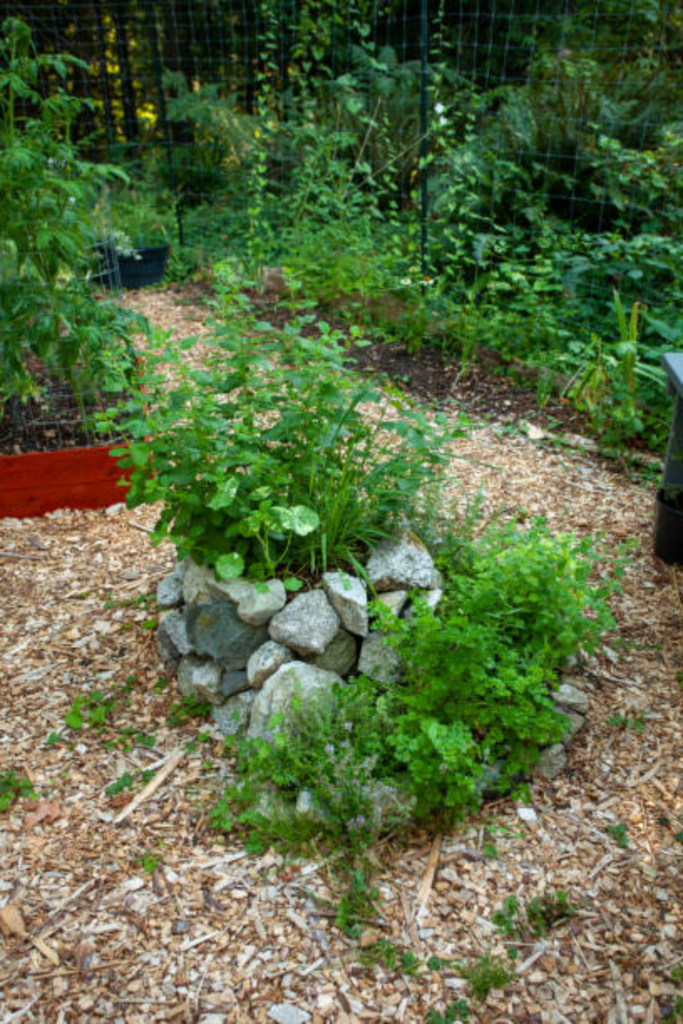 Image illustrates a foodscaping garden.