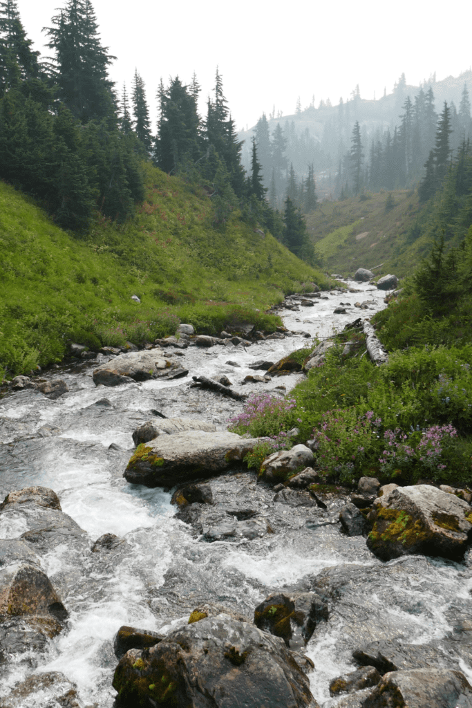 Image illustrates the best states for off grid living. 