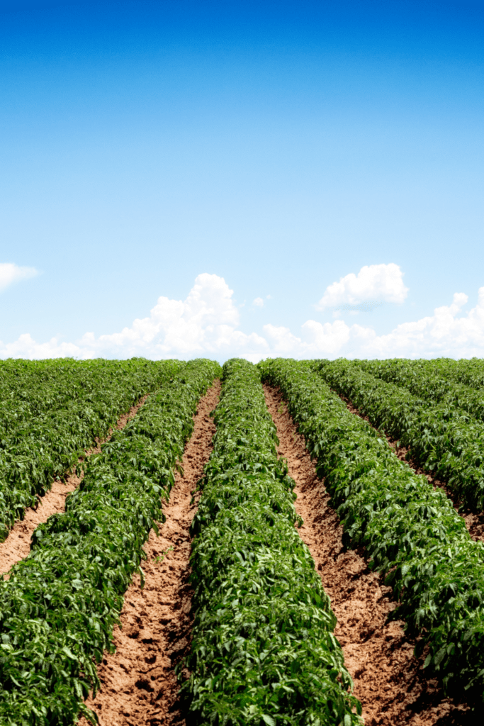 Image illustrates the best states for off grid living. 