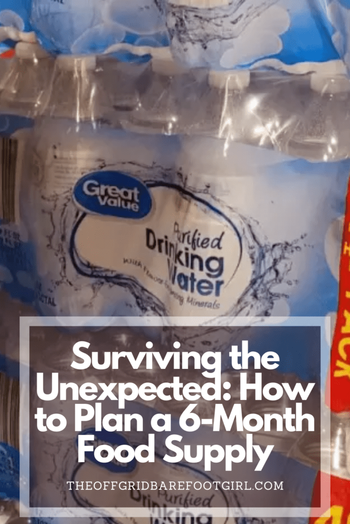 Image illustrates a Pinterest pin of a pantry with a 6-month food supply. 