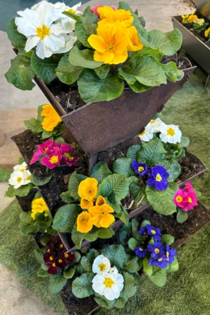 Image illustrates a stackable planter for vertical gardening plants. 