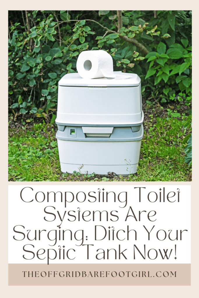 Image illustrates a Pinterest pin of composting toilet systems. 