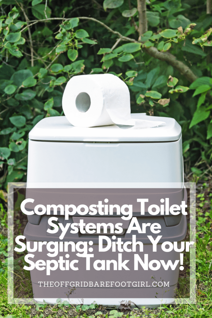 Image illustrates a Pinterest pin of composting toilet systems. 