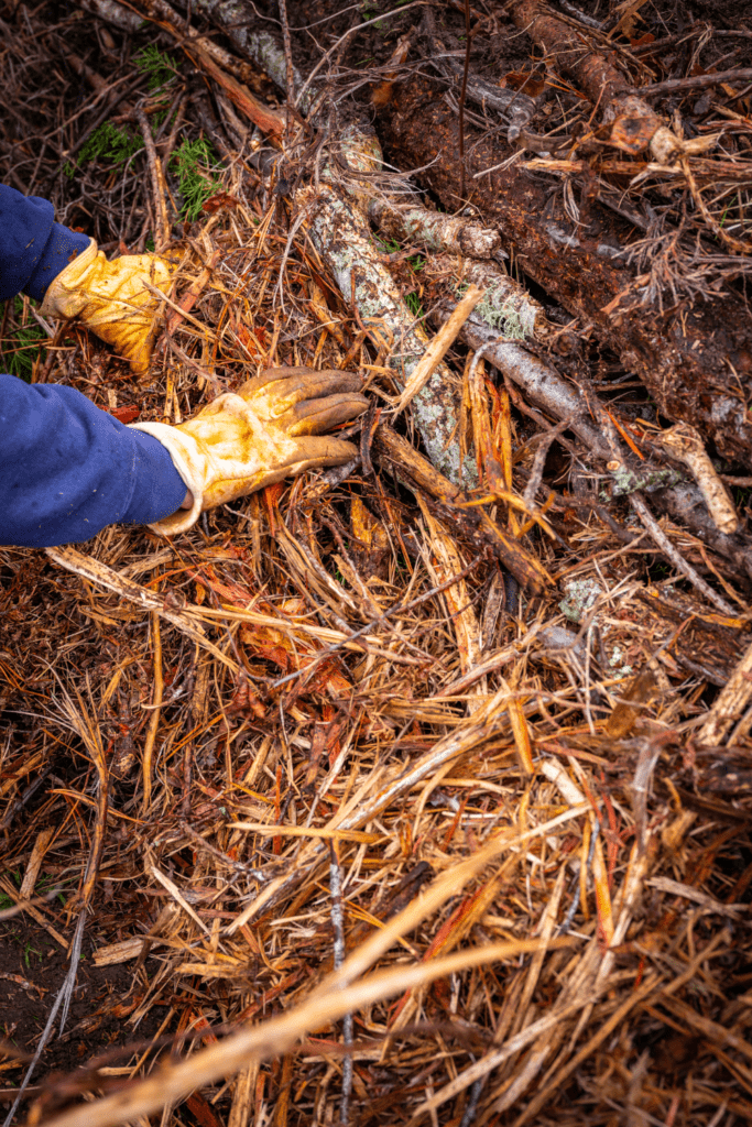 Image illustrates a hugelkultur garden. 