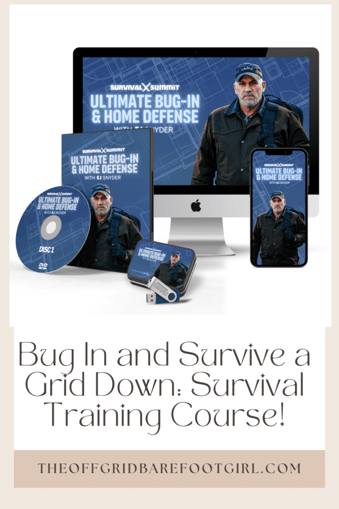 Image illustrates a Pinterest pin of a bug in and survive a grid down survival training course.