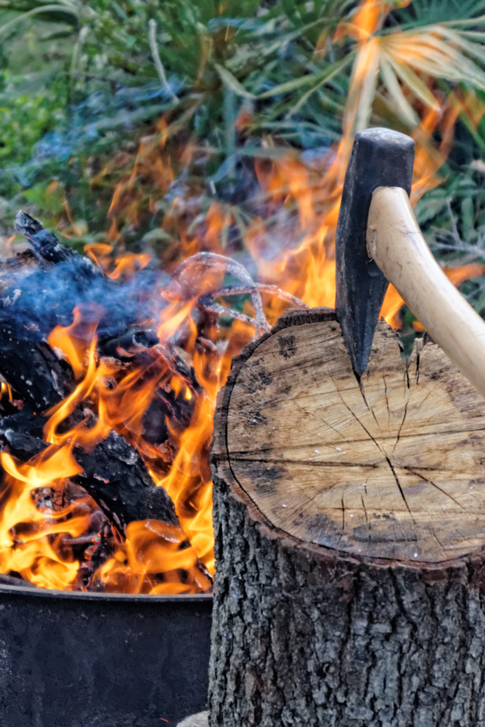 Image illustrates practical survival skills.