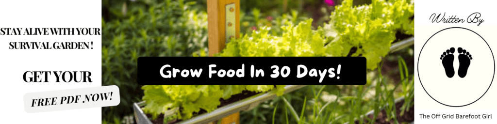 Image illustrates a PDF eBook for a survival garden. 