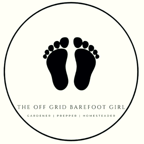 The Off Grid Barefoot Girl