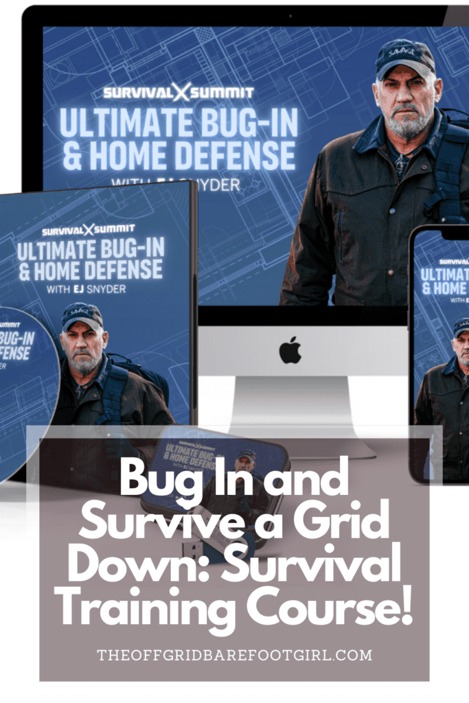 Image illustrates a Pinterest pin of a bug in and survive a grid down survival training course.