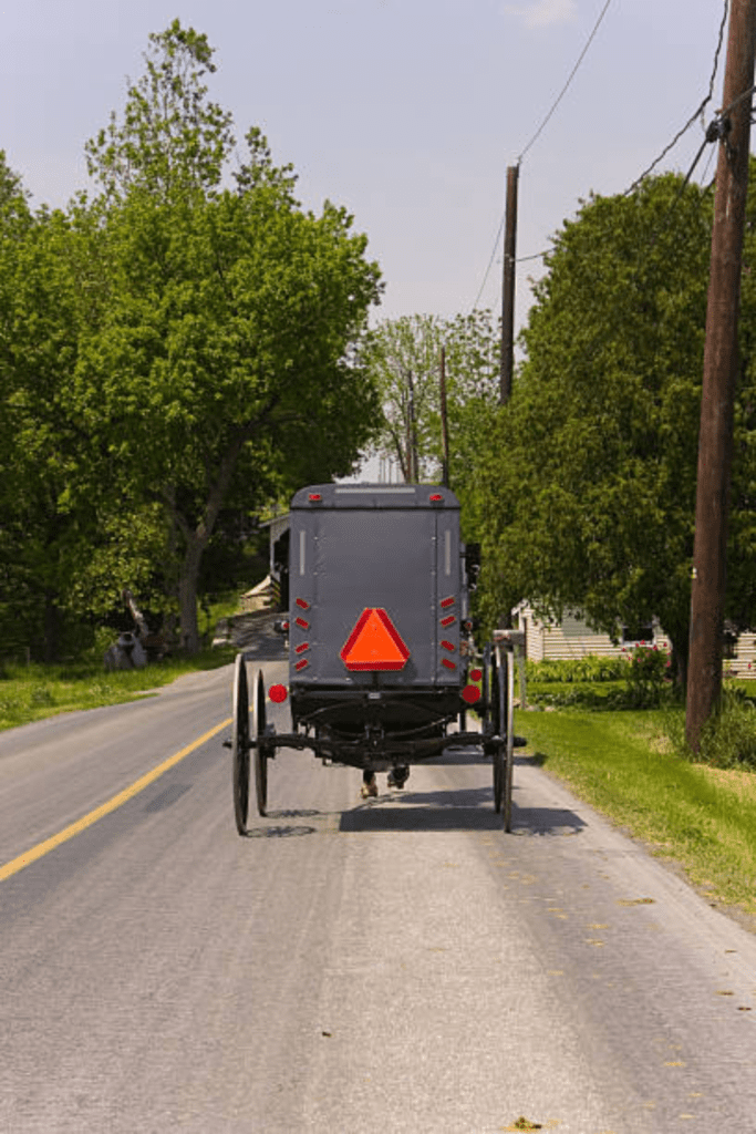 Image illustrates an Amish buggy going to an Amish market.