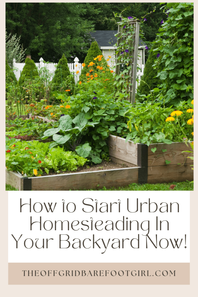 Image illustrates a Pinterest pin of urban homesteading.