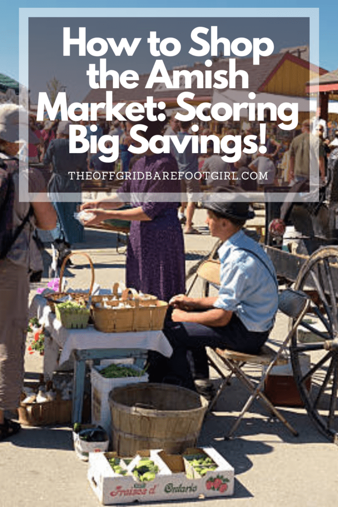 Image illustrates a Pinterest pin of an Amish market.
