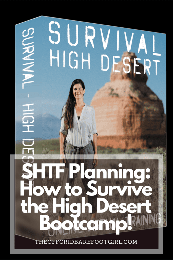 Image illustrates a Pinterest pin of SHTF planning and survival course with Kirsten Rechnitz.