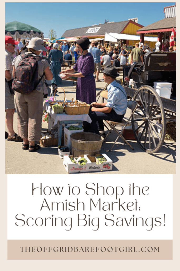 Image illustrates a Pinterest pin of an Amish market.