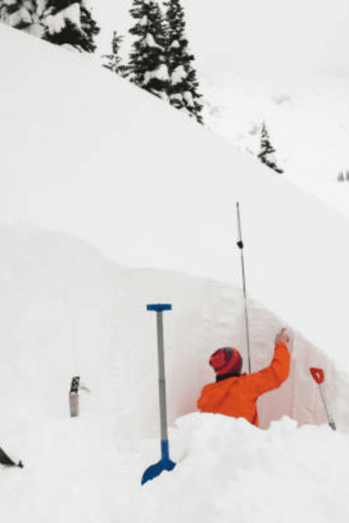 Image illustrates avalanche snow probes.