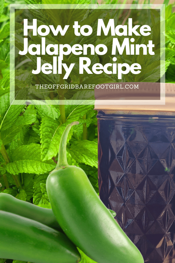 Image illustrates a Pinterest pin of jalapeno mint jelly.
