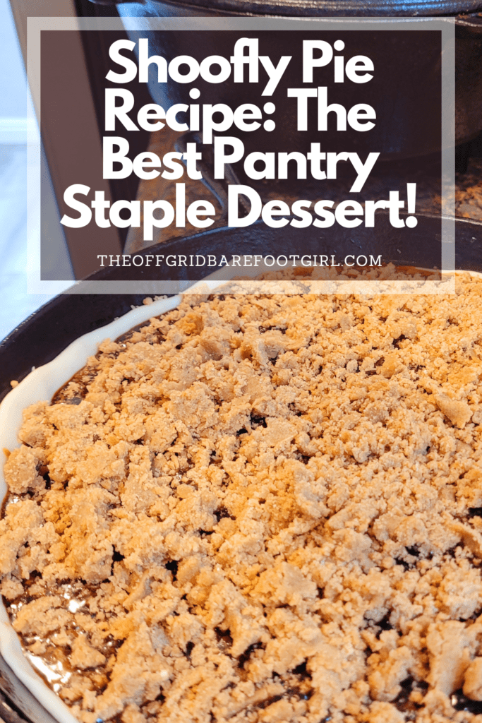 Image illustrates a Pinterest pin of shoofly pie.