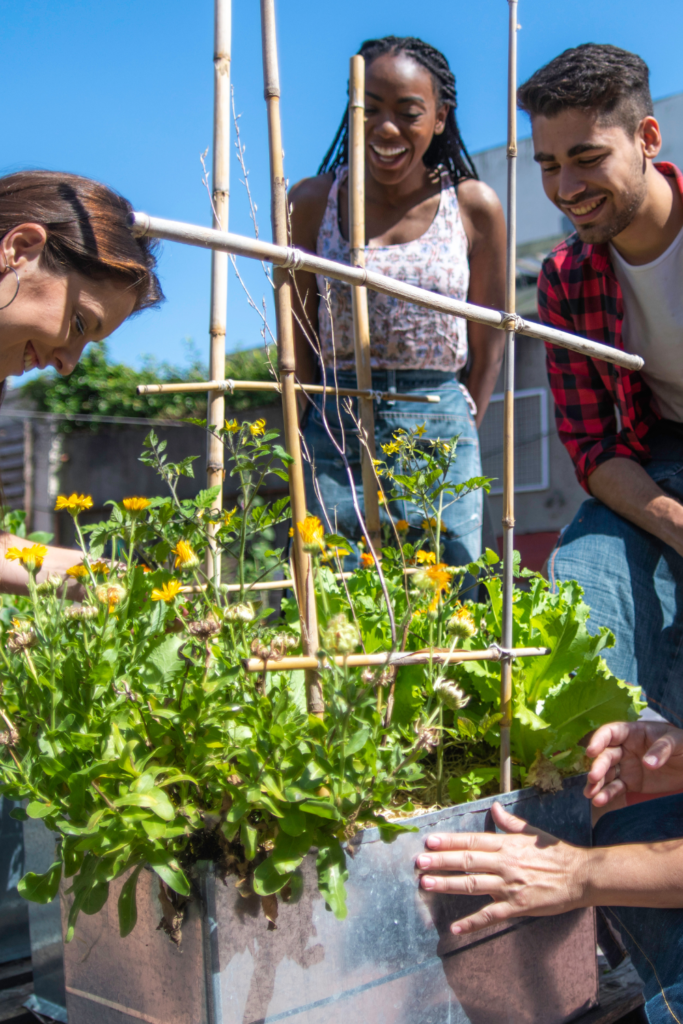 Image illustrates urban homesteading. 