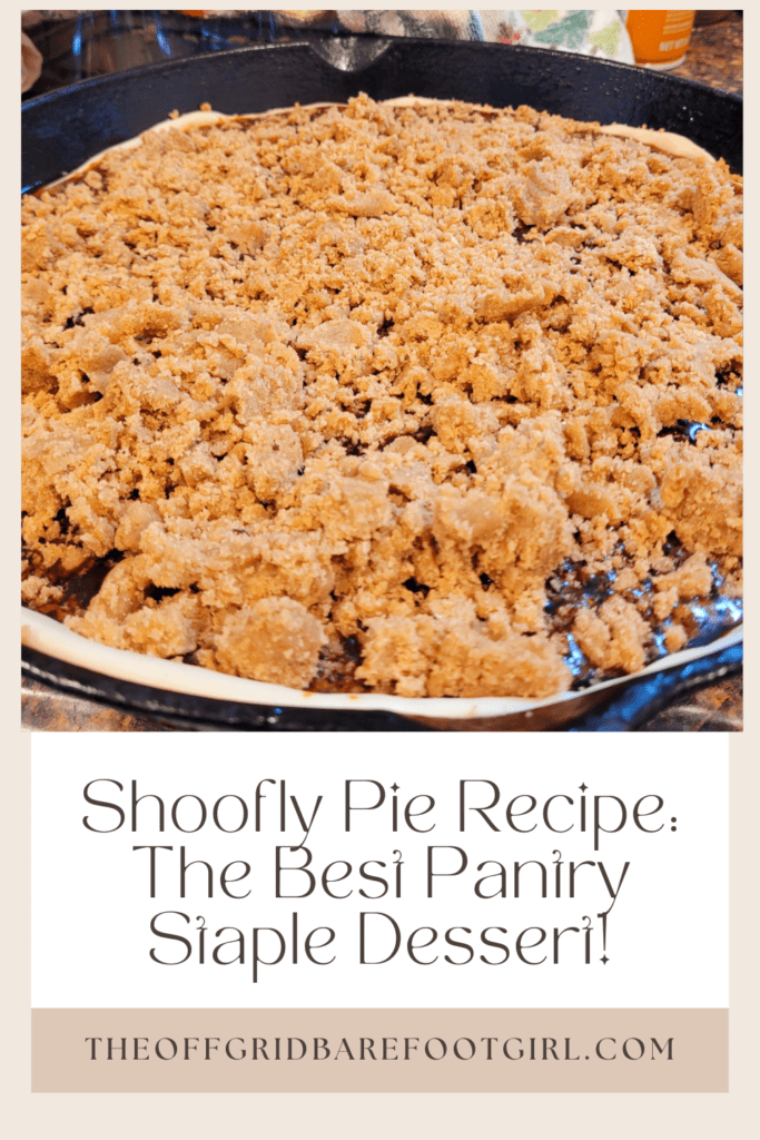 Image illustrates a Pinterest pin of shoofly pie.