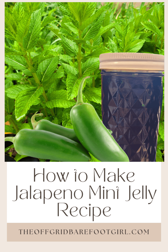 Image illustrates a Pinterest pin of jalapeno mint jelly.
