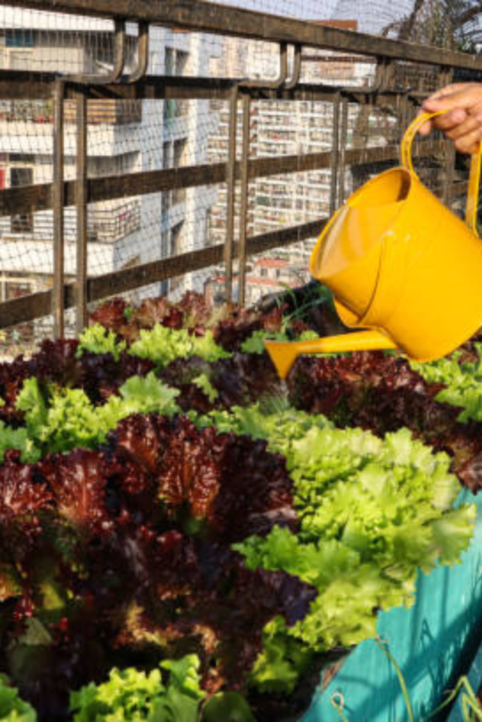 Image illustrates apartment homesteading.