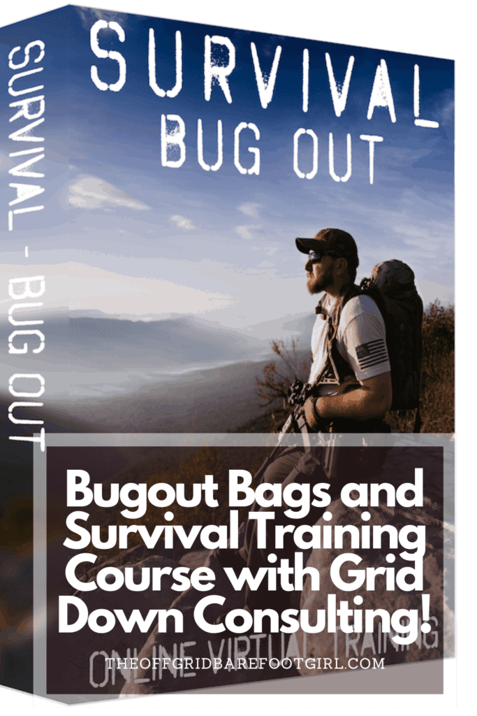 Image illustrates a Pinterest pin of bugout bags. 
