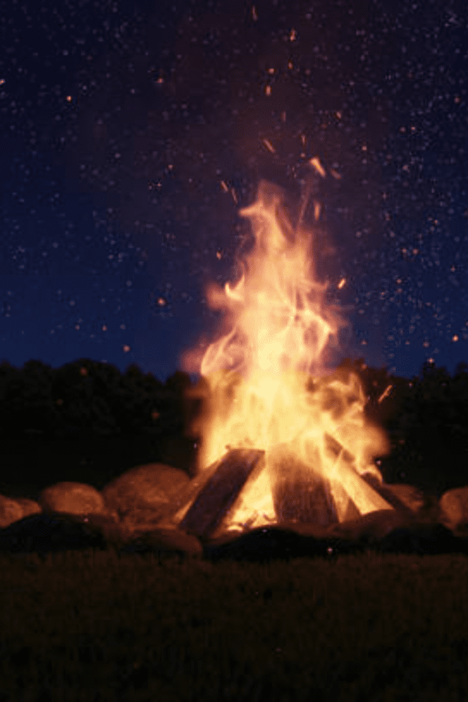 Image illustrates a fire started with a ferro rod. 