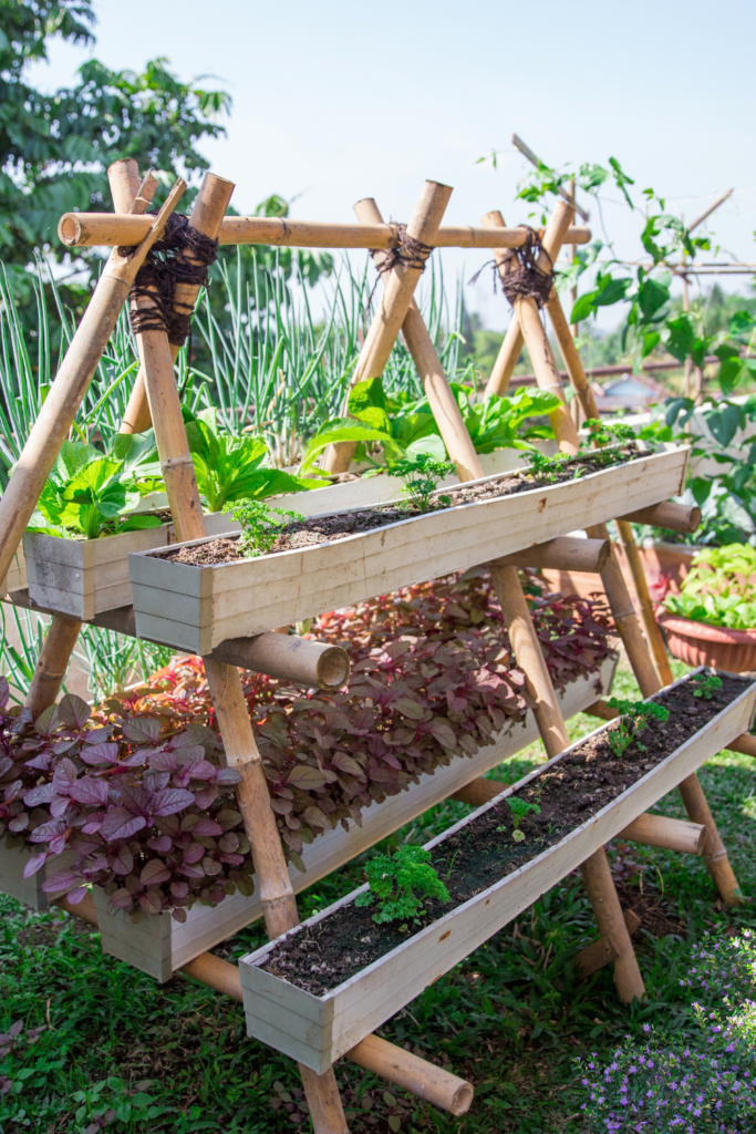 Image illustrates urban homesteading. 