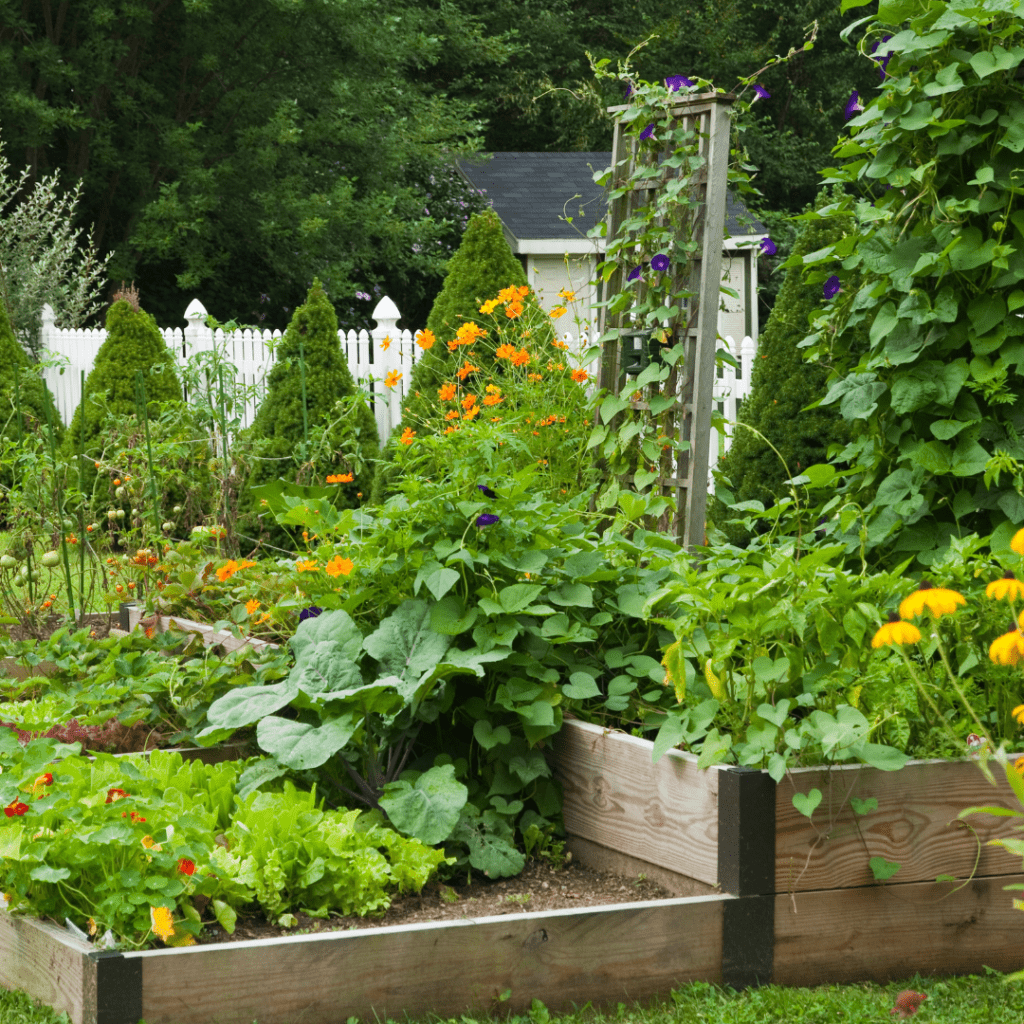 Image illustrates urban homesteading. 