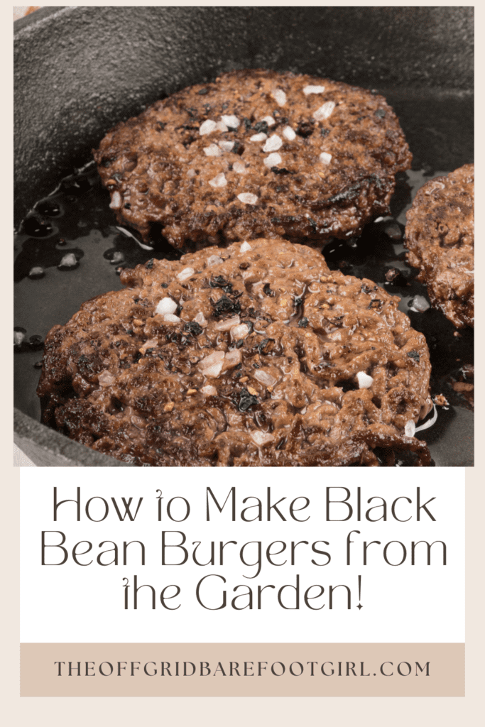 Image illustrates a Pinterest pin of black bean burgers.