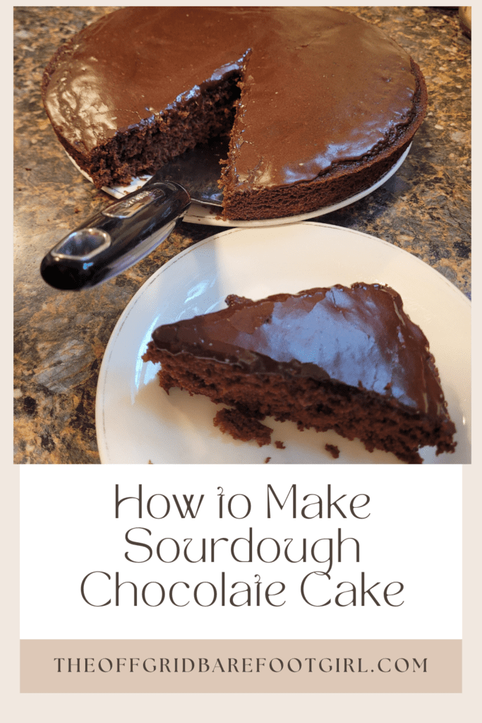 Image illustrates a Pinterest pin of sourdough chocolate cake.