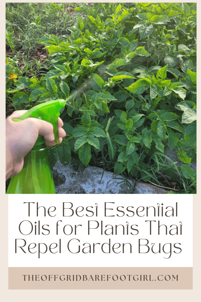 Image illustrates a Pinterest pin for essential oils for plants.