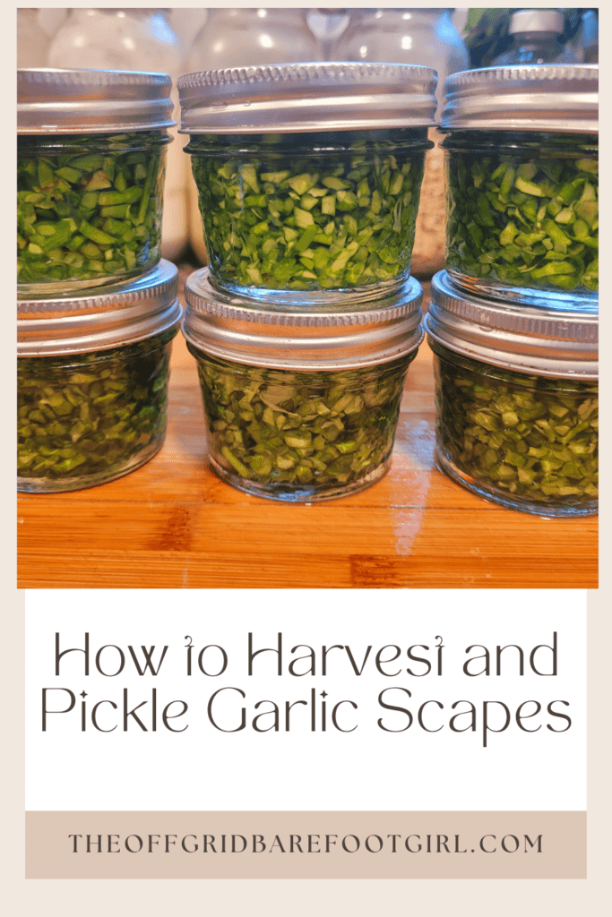 Image illustrates a Pinterest pin of pickled garlic scapes.