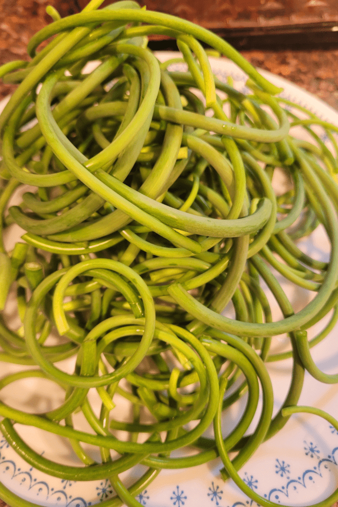 Image illustrates spring vegetables.