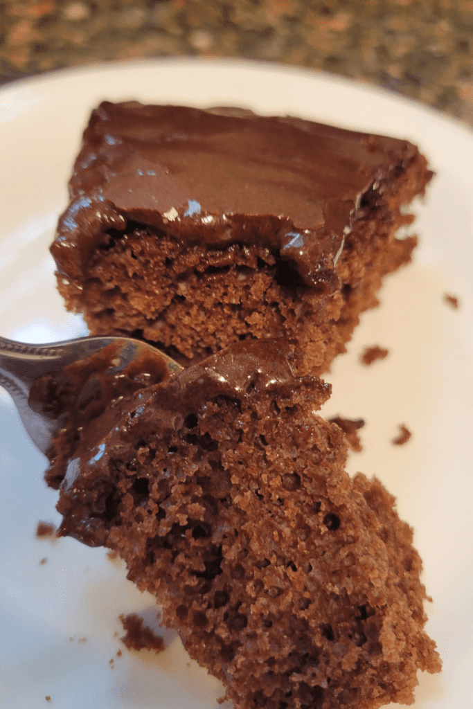 Image illustrates sourdough chocolate cake.