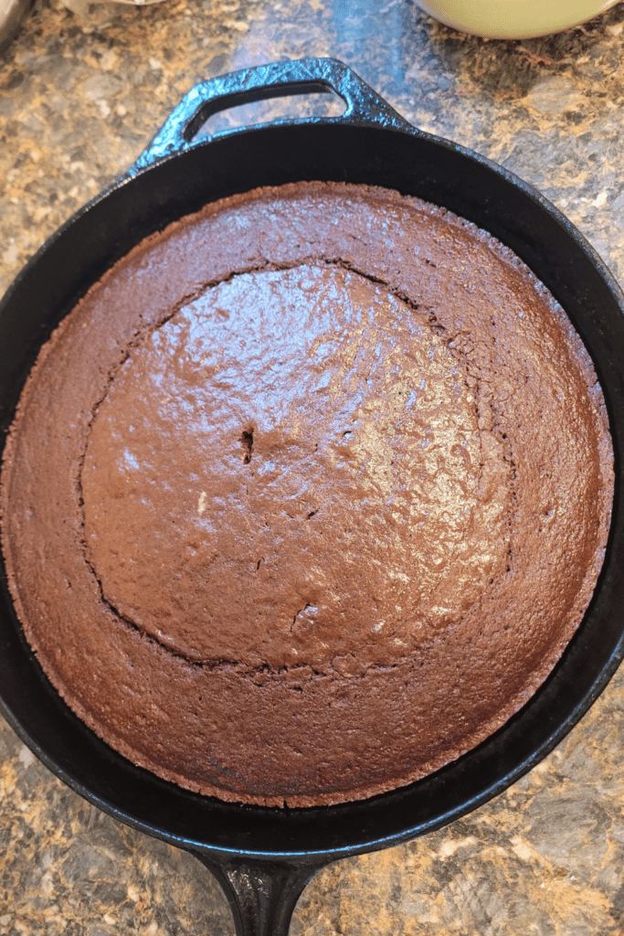 Image illustrates sourdough chocolate cake.