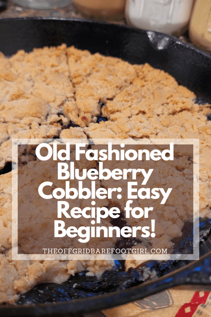Image illustrates a Pinterest pin of old fashioned blueberry cobbler. 