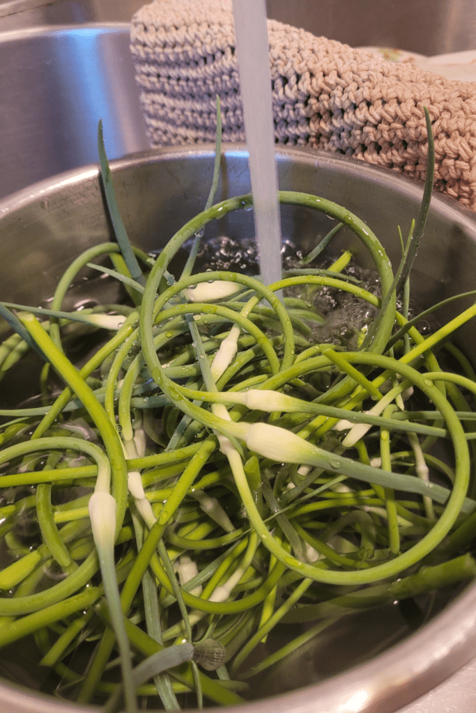 Image illustrates garlic scapes.