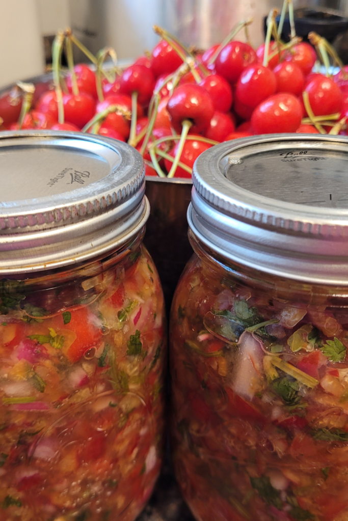 Image illustrates cherry salsa.