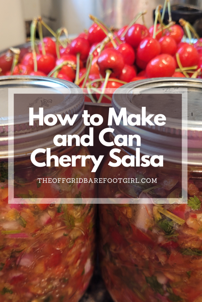 Image illustrates a Pinterest pin of cherry salsa.